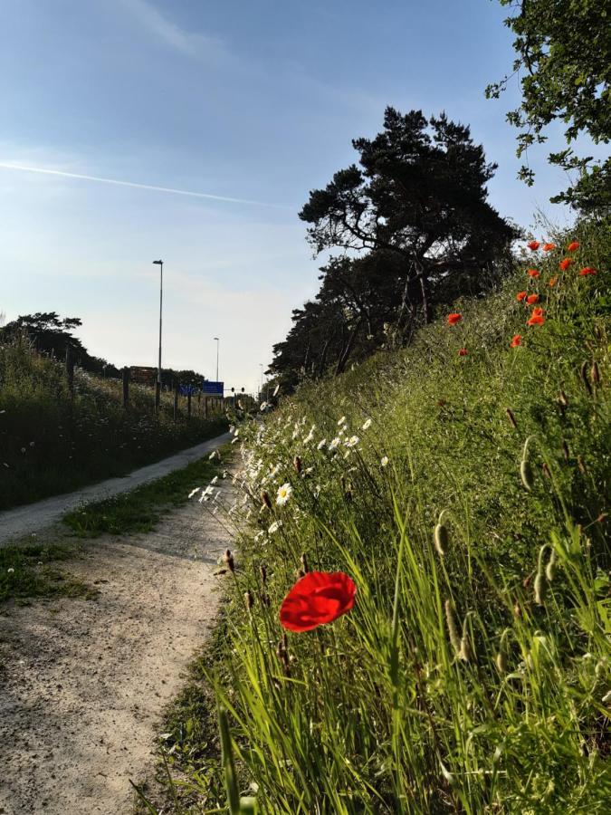 Vakantiewoning Zwaluw